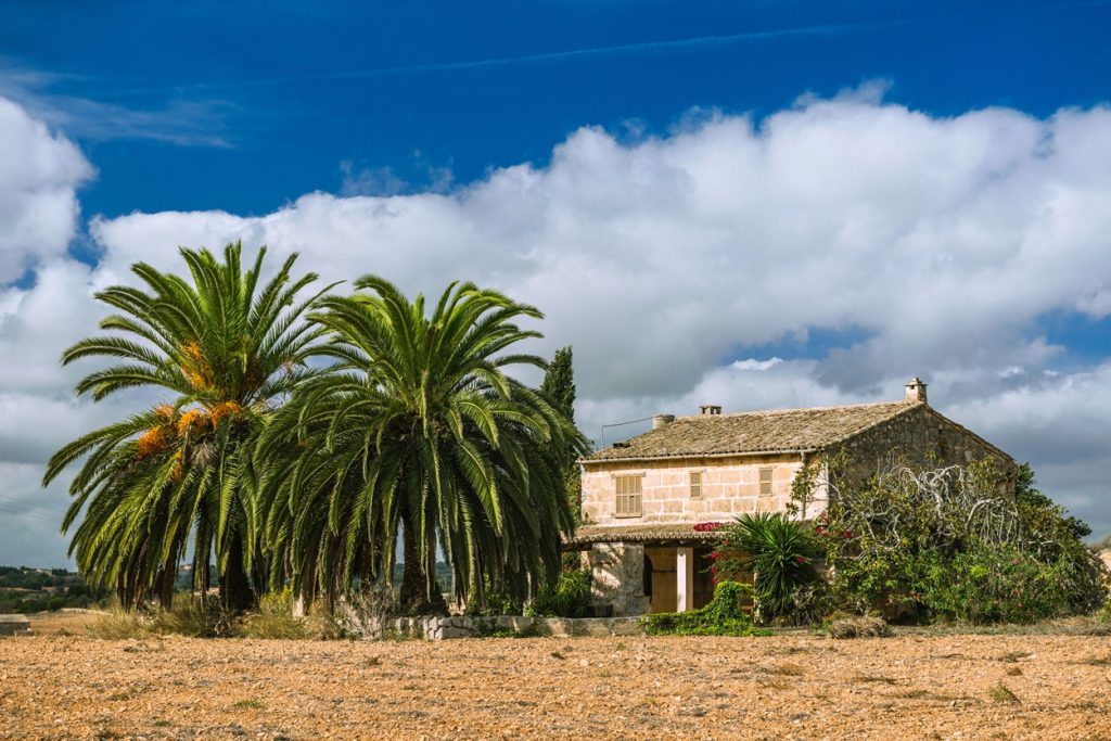 finca te koop Spanje oude Finca met palmen