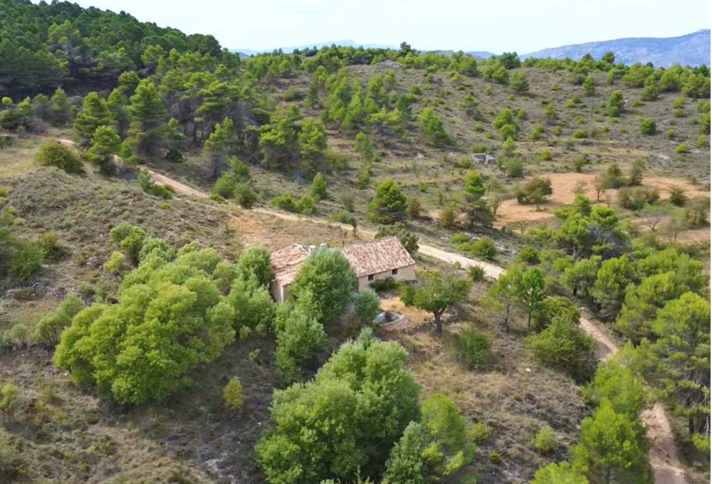 Finca for sale in the municipality of Confrides - Plot: 106.715.000m2 - Asking price: 149.000€
