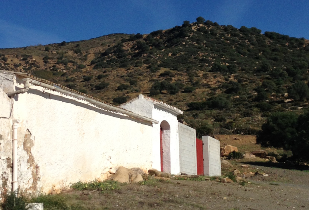 Cortijo andaluz histórico en venta en Álora