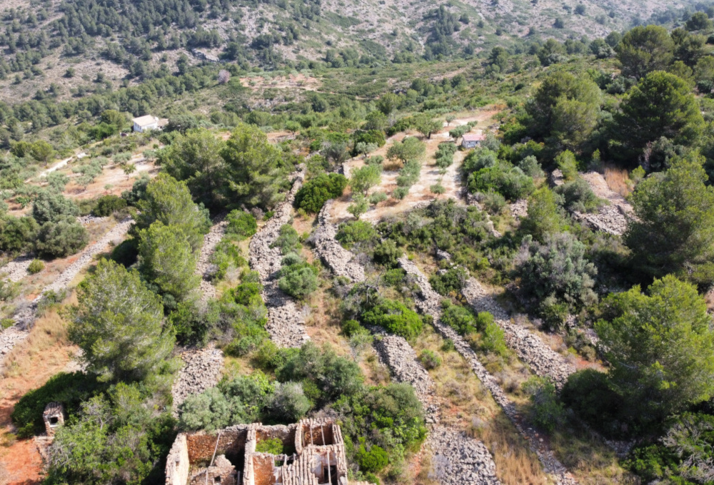 Auténtica Propiedad Rural con Potencial de Rehabilitación - Parcela: 10,796 m² – Precio: 180.000 €